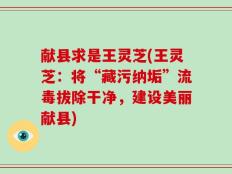 献县求是王灵芝(王灵芝：将“藏污纳垢”流毒拔除干净，建设美丽献县)