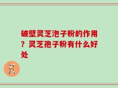 破壁灵芝泡子粉的作用？灵芝孢子粉有什么好处