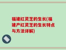 福建红灵芝的生长(福建产红灵芝的生长特点与方法详解)