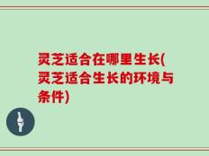 灵芝适合在哪里生长(灵芝适合生长的环境与条件)