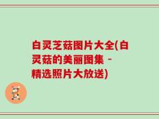 白灵芝菇图片大全(白灵菇的美丽图集 - 精选照片大放送)