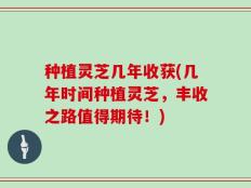 种植灵芝几年收获(几年时间种植灵芝，丰收之路值得期待！)