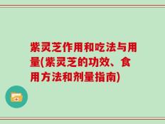 紫灵芝作用和吃法与用量(紫灵芝的功效、食用方法和剂量指南)