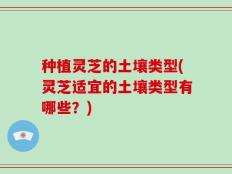 种植灵芝的土壤类型(灵芝适宜的土壤类型有哪些？)