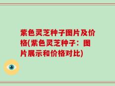 紫色灵芝种子图片及价格(紫色灵芝种子：图片展示和价格对比)