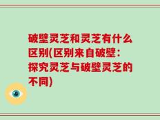 破壁灵芝和灵芝有什么区别(区别来自破壁：探究灵芝与破壁灵芝的不同)