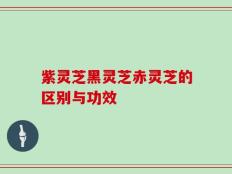 紫灵芝黑灵芝赤灵芝的区别与功效