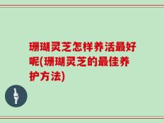 珊瑚灵芝怎样养活最好呢(珊瑚灵芝的最佳养护方法)