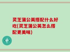 灵芝蒲公英搭配什么好吃(灵芝蒲公英怎么搭配更美味)