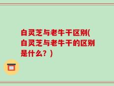白灵芝与老牛干区别(白灵芝与老牛干的区别是什么？)