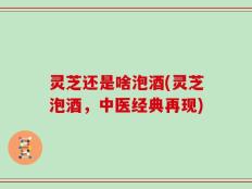 灵芝还是啥泡酒(灵芝泡酒，中医经典再现)