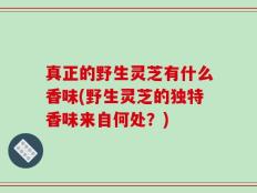 真正的野生灵芝有什么香味(野生灵芝的独特香味来自何处？)