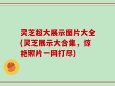 灵芝超大展示图片大全(灵芝展示大合集，惊艳照片一网打尽)