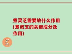 煮灵芝需要放什么作用(煮灵芝的关键成分及作用)