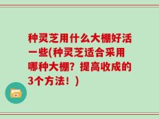 种灵芝用什么大棚好活一些(种灵芝适合采用哪种大棚？提高收成的3个方法！)