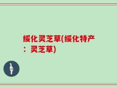 绥化灵芝草(绥化特产：灵芝草)