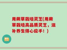 用蕨草栽培灵芝(用蕨草栽培高品质灵芝，滋补养生得心应手！)
