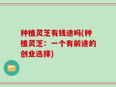 种植灵芝有钱途吗(种植灵芝：一个有前途的创业选择)