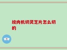 绞肉机切灵芝片怎么切的