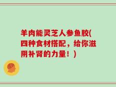 羊肉能灵芝人参鱼胶(四种食材搭配，给你滋阴补肾的力量！)