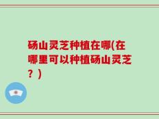 砀山灵芝种植在哪(在哪里可以种植砀山灵芝？)
