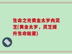 生命之光黄金太岁肉灵芝(黄金太岁，灵芝提升生命能量)