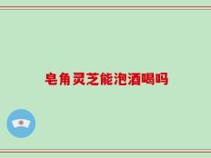 皂角灵芝能泡酒喝吗