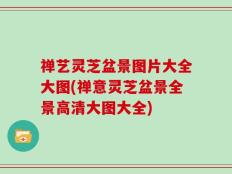 禅艺灵芝盆景图片大全大图(禅意灵芝盆景全景高清大图大全)