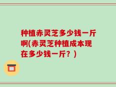 种植赤灵芝多少钱一斤啊(赤灵芝种植成本现在多少钱一斤？)