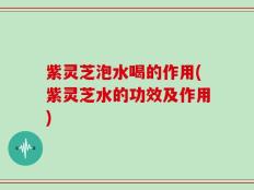 紫灵芝泡水喝的作用(紫灵芝水的功效及作用)