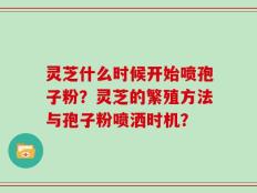 灵芝什么时候开始喷孢子粉？灵芝的繁殖方法与孢子粉喷洒时机？