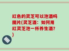 红色的灵芝可以泡酒吗图片(灵芝酒：如何用红灵芝泡一杯养生酒？)