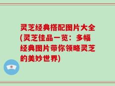 灵芝经典搭配图片大全(灵芝佳品一览：多幅经典图片带你领略灵芝的美妙世界)
