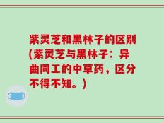 紫灵芝和黑林子的区别(紫灵芝与黑林子：异曲同工的中草药，区分不得不知。)