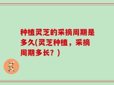 种植灵芝的采摘周期是多久(灵芝种植，采摘周期多长？)