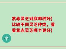 紫赤灵芝到底哪种好(比较不同灵芝种类，看看紫赤灵芝哪个更好)