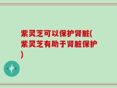 紫灵芝可以保护肾脏(紫灵芝有助于肾脏保护)