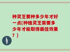 种灵芝要种多少年才好一点(种植灵芝需要多少年才能取得最佳效果？)