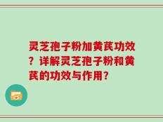 灵芝孢子粉加黄芪功效？详解灵芝孢子粉和黄芪的功效与作用？