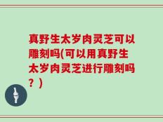 真野生太岁肉灵芝可以雕刻吗(可以用真野生太岁肉灵芝进行雕刻吗？)