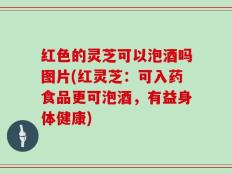 红色的灵芝可以泡酒吗图片(红灵芝：可入药食品更可泡酒，有益身体健康)