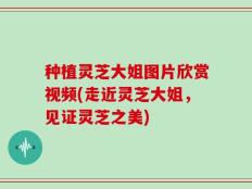 种植灵芝大姐图片欣赏视频(走近灵芝大姐，见证灵芝之美)
