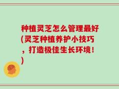 种植灵芝怎么管理最好(灵芝种植养护小技巧，打造极佳生长环境！)