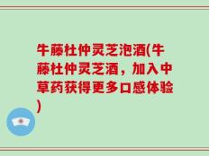 牛藤杜仲灵芝泡酒(牛藤杜仲灵芝酒，加入中草药获得更多口感体验)