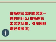 白杨树长出的像灵芝一样的叫什么(白杨树长出灵芝状物，引发园林爱好者关注)