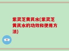 紫灵芝黄芪水(紫灵芝黄芪水的功效和使用方法)
