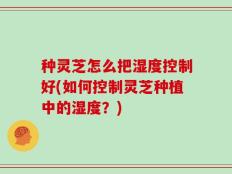 种灵芝怎么把湿度控制好(如何控制灵芝种植中的湿度？)