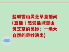 盐城雪山灵芝草直播间(直播丨感受盐城雪山灵芝草的美妙：一场大自然的奇妙演出)