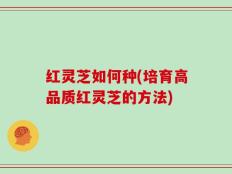 红灵芝如何种(培育高品质红灵芝的方法)