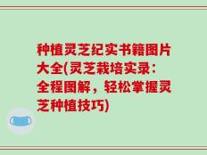 种植灵芝纪实书籍图片大全(灵芝栽培实录：全程图解，轻松掌握灵芝种植技巧)